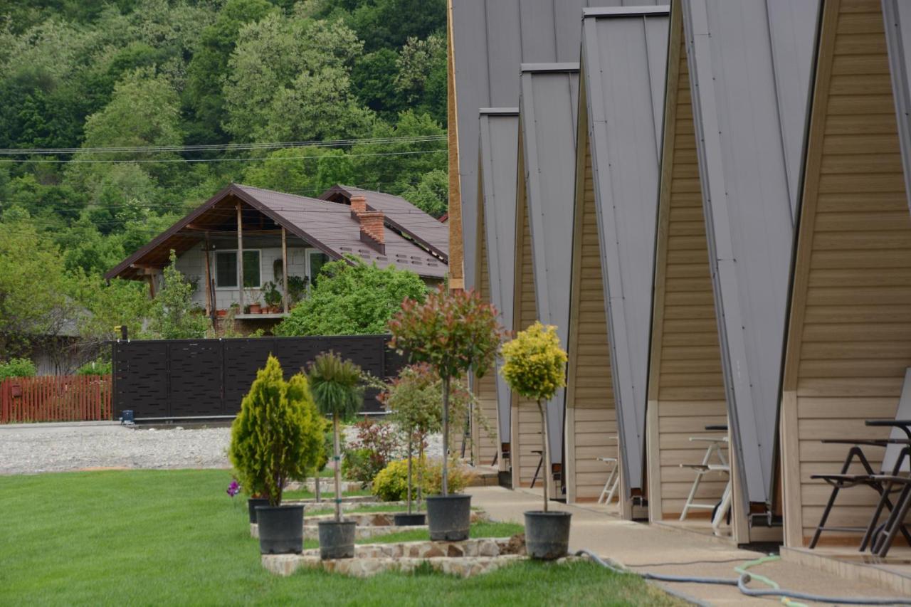 La Casute Hotell Capatineni-Paminteni Exteriör bild